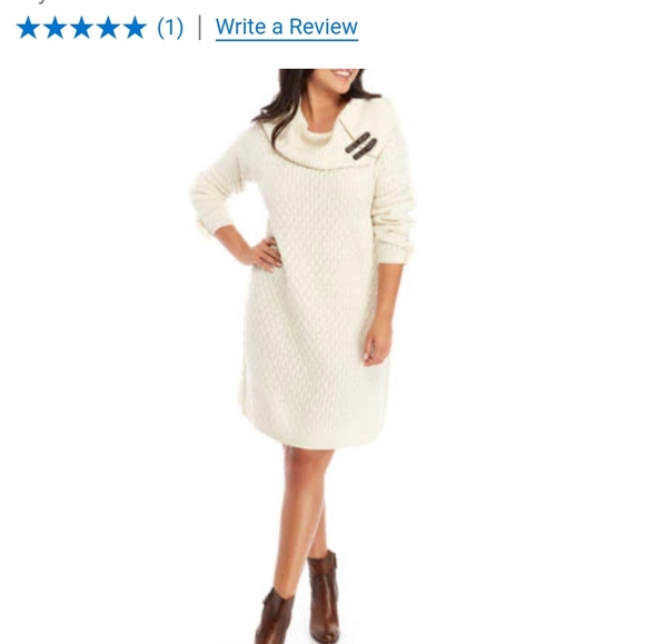 Sandra Darren Plus Size Turtleneck Sweater Dress - Picture 1 of 6